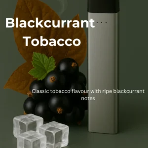 Blackcurrant Tobacco JUUL