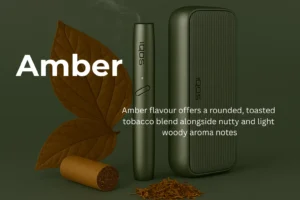 IQOS Terea AMBER flavor