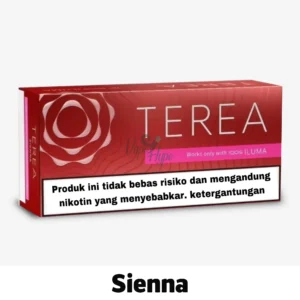Iqos Terea Sienna Indonesian Now available in UAE Online
