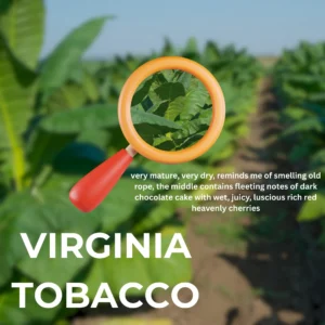 Juul Virginia tobacco