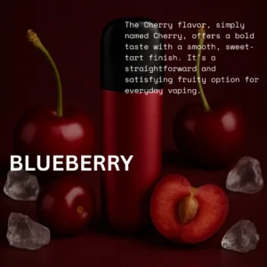 Relx Pod Pro Blueberry