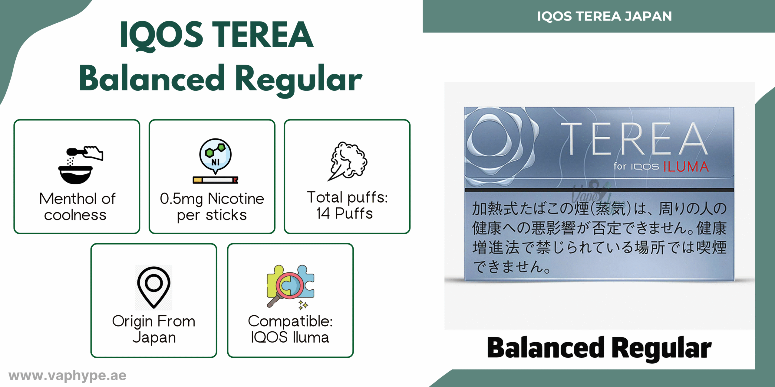 Terea Balanced Regular
