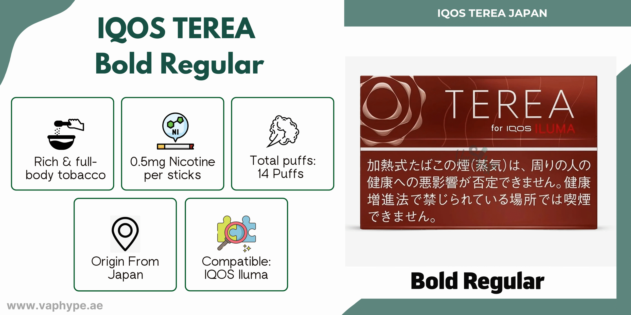 Terea Bold Regular Japan