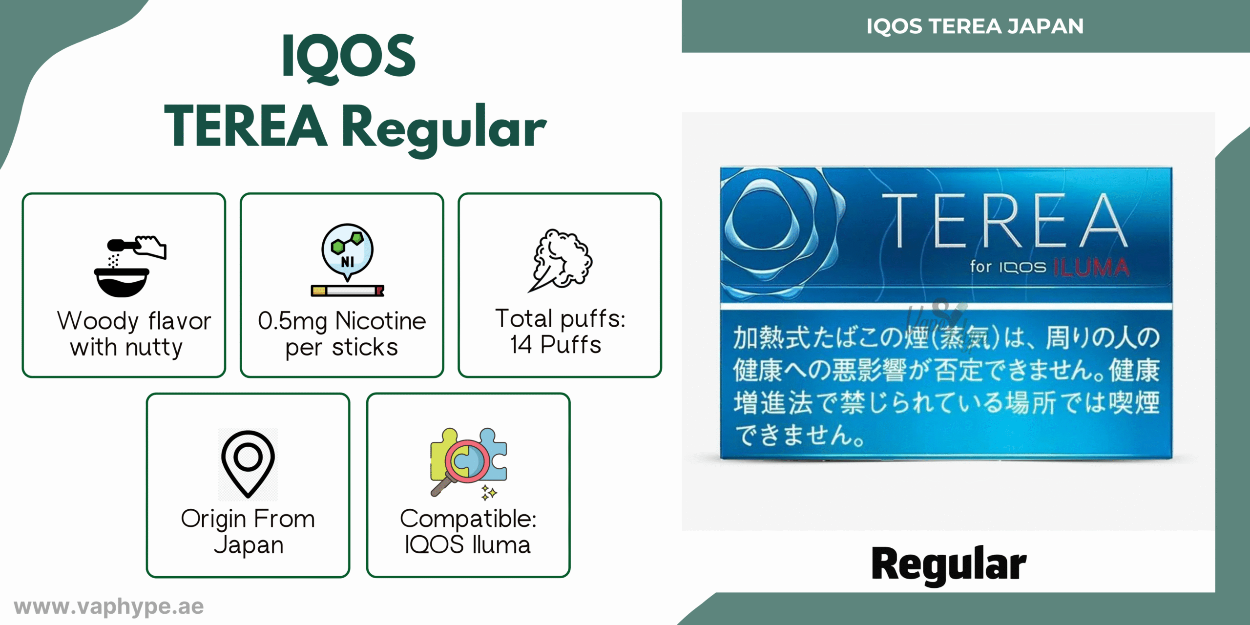 Terea Regular Japan