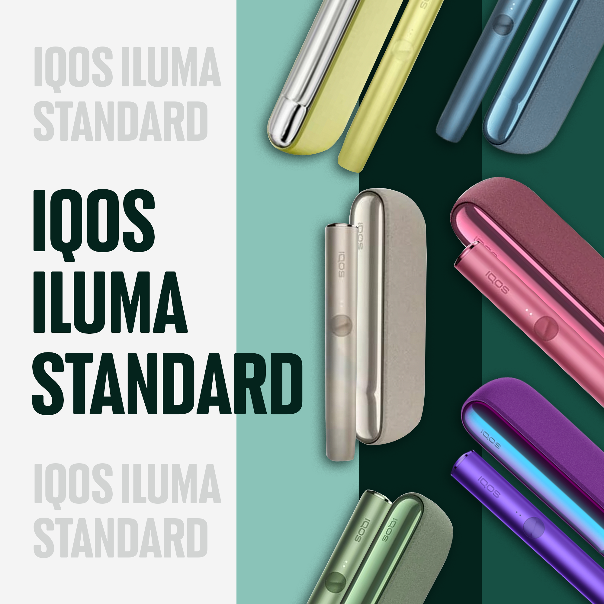 Order IQOS ILUMA Standard in UAE for best prices