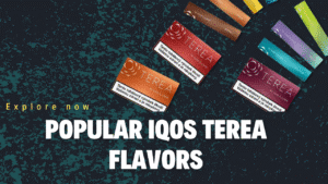 Most Popular IQOS TEREA Flavors for Iluma