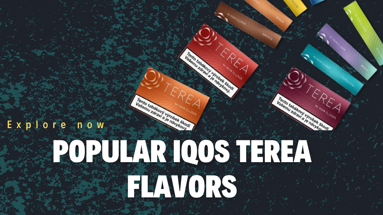 Most Popular IQOS TEREA Flavors for Iluma