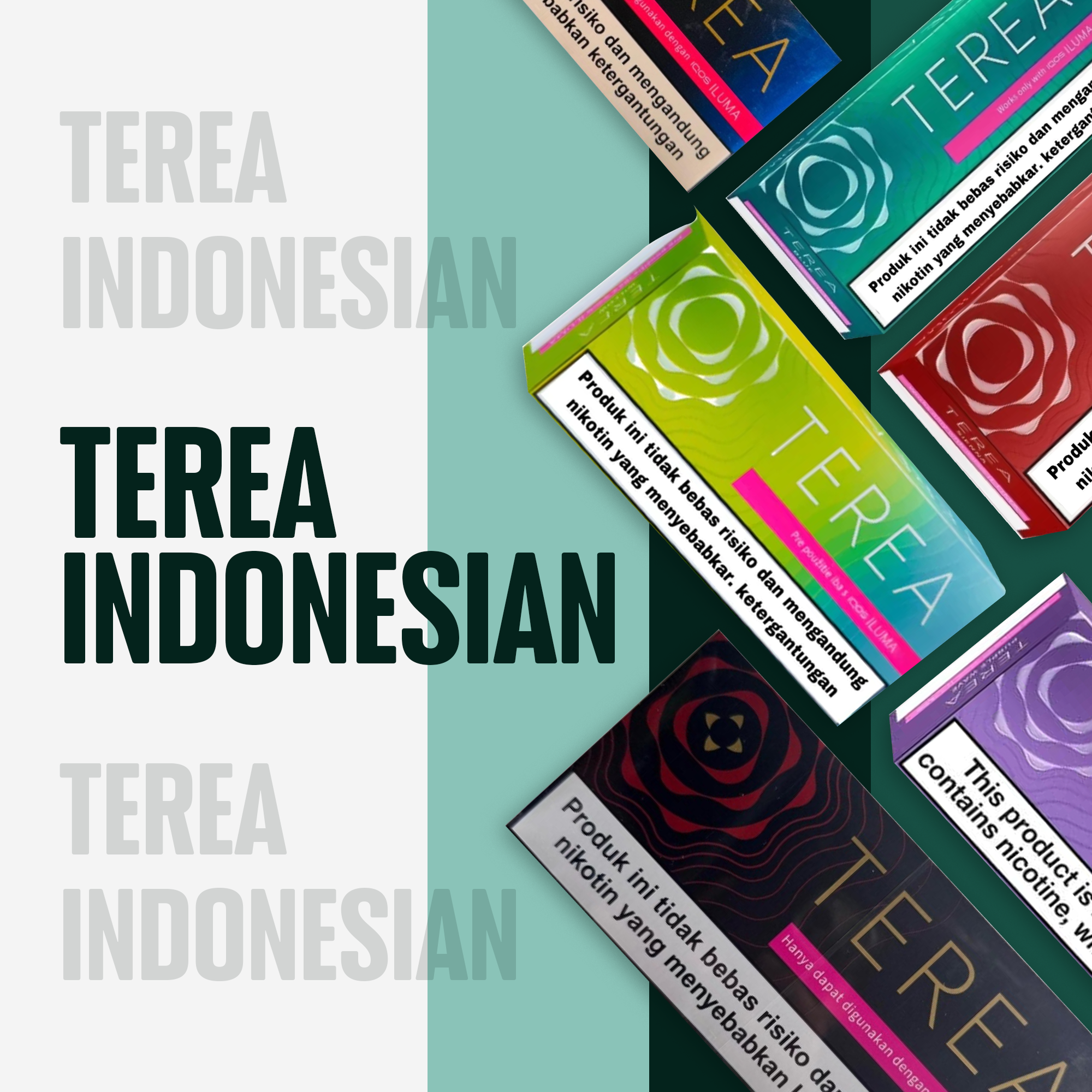 IQOS Terea Indonesian flavor now available in UAE