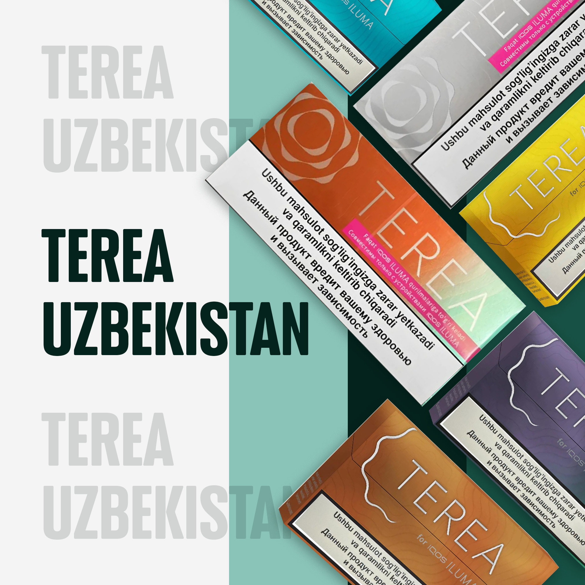Terea Uzbekistan for VapeHype