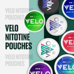 Buy Velo Nicotine Pouches in dubai