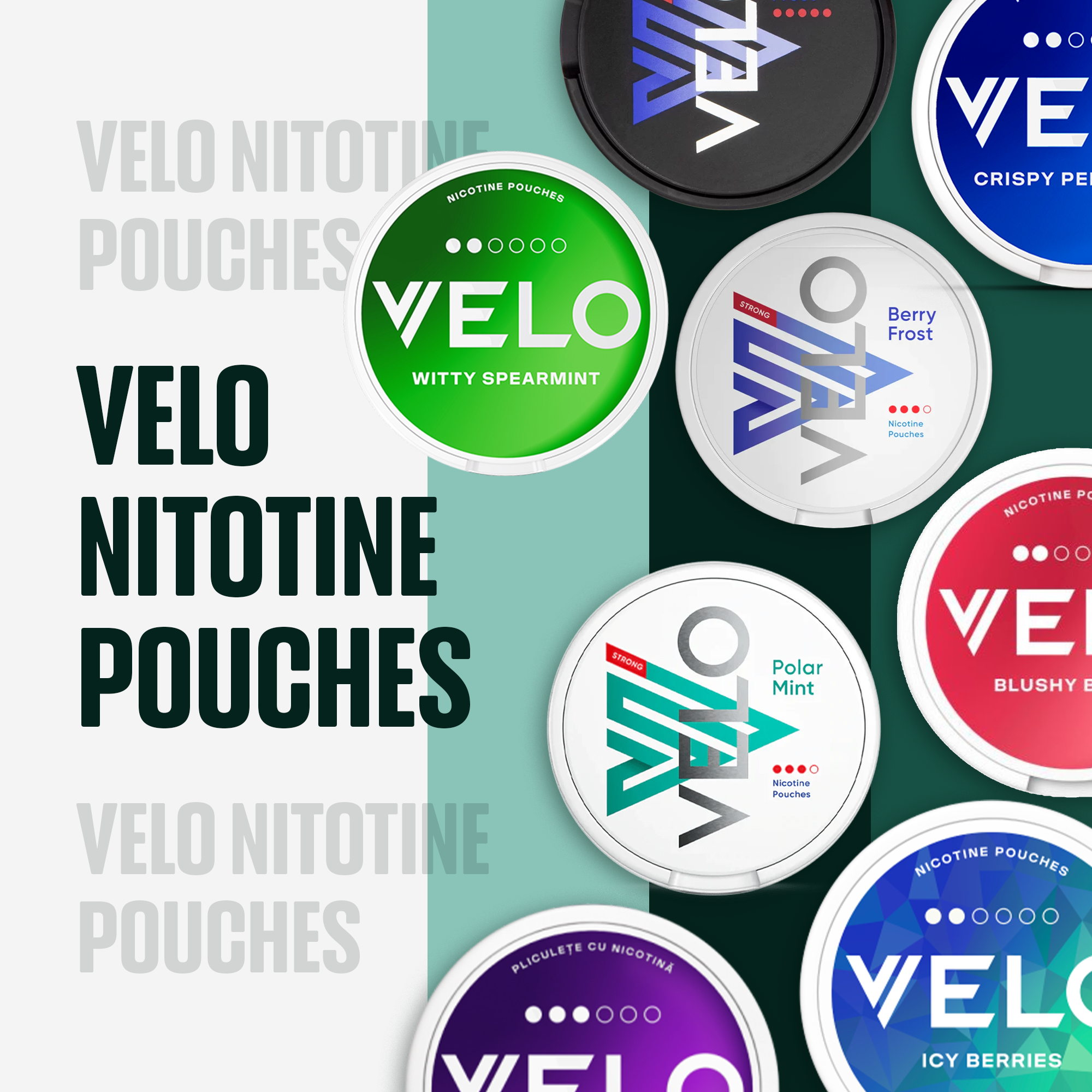 Buy Velo Nicotine Pouches in dubai