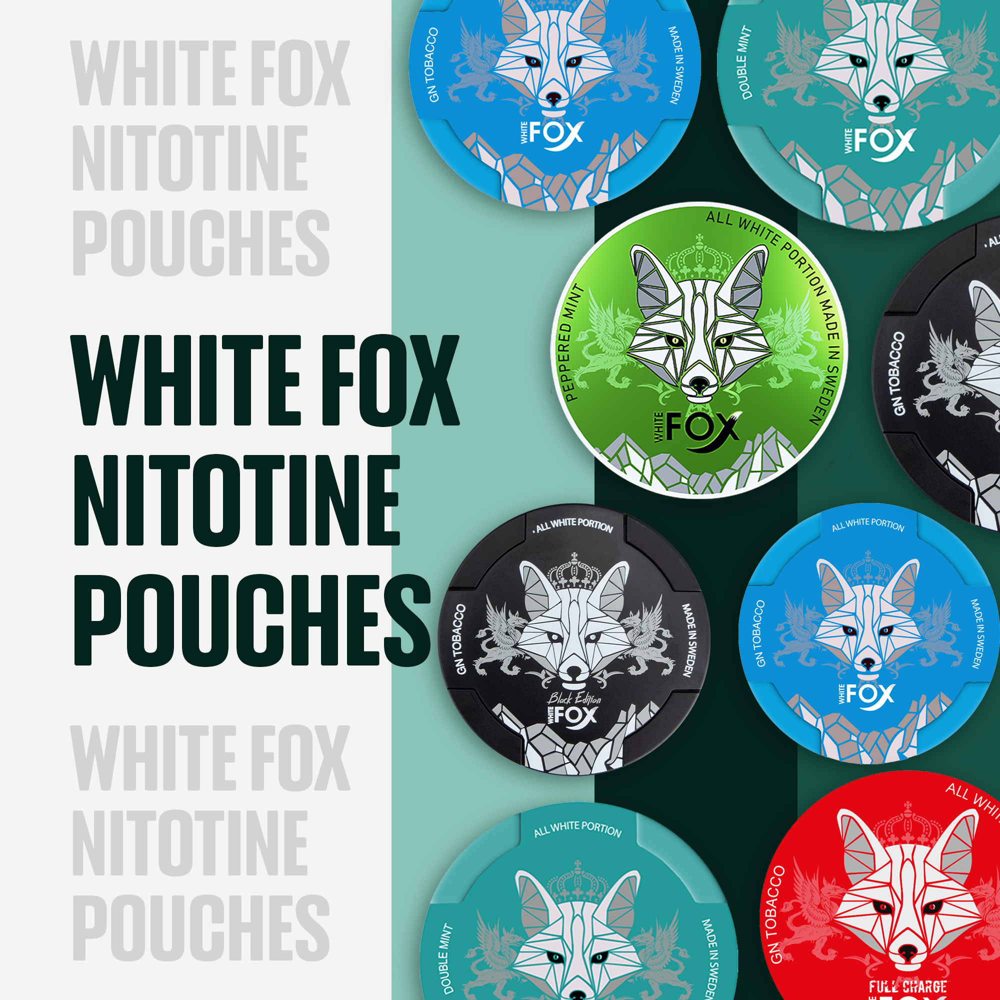 Buy White Fox Nicotine Pouches UAE