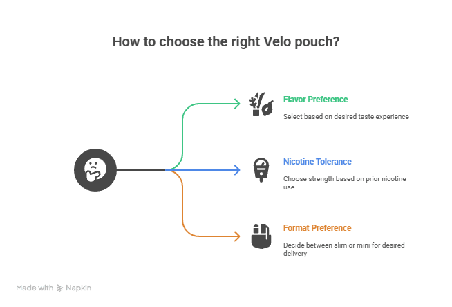 Choosing the Right Velo Pouch