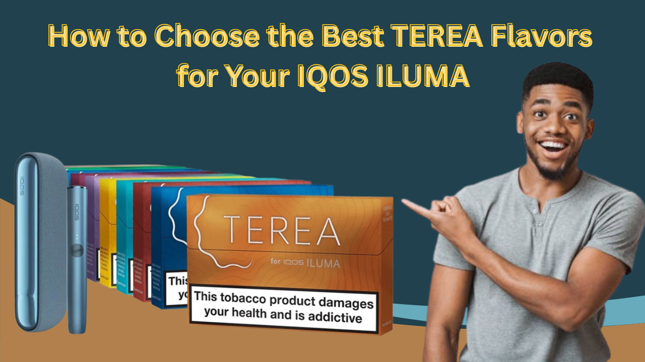 Guide to Choose the Best TEREA Flavors for Your IQOS ILUMA in UAE