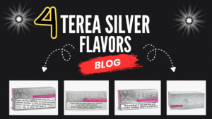 TEREA Silver Flavor: Try All 4 Types in UAE