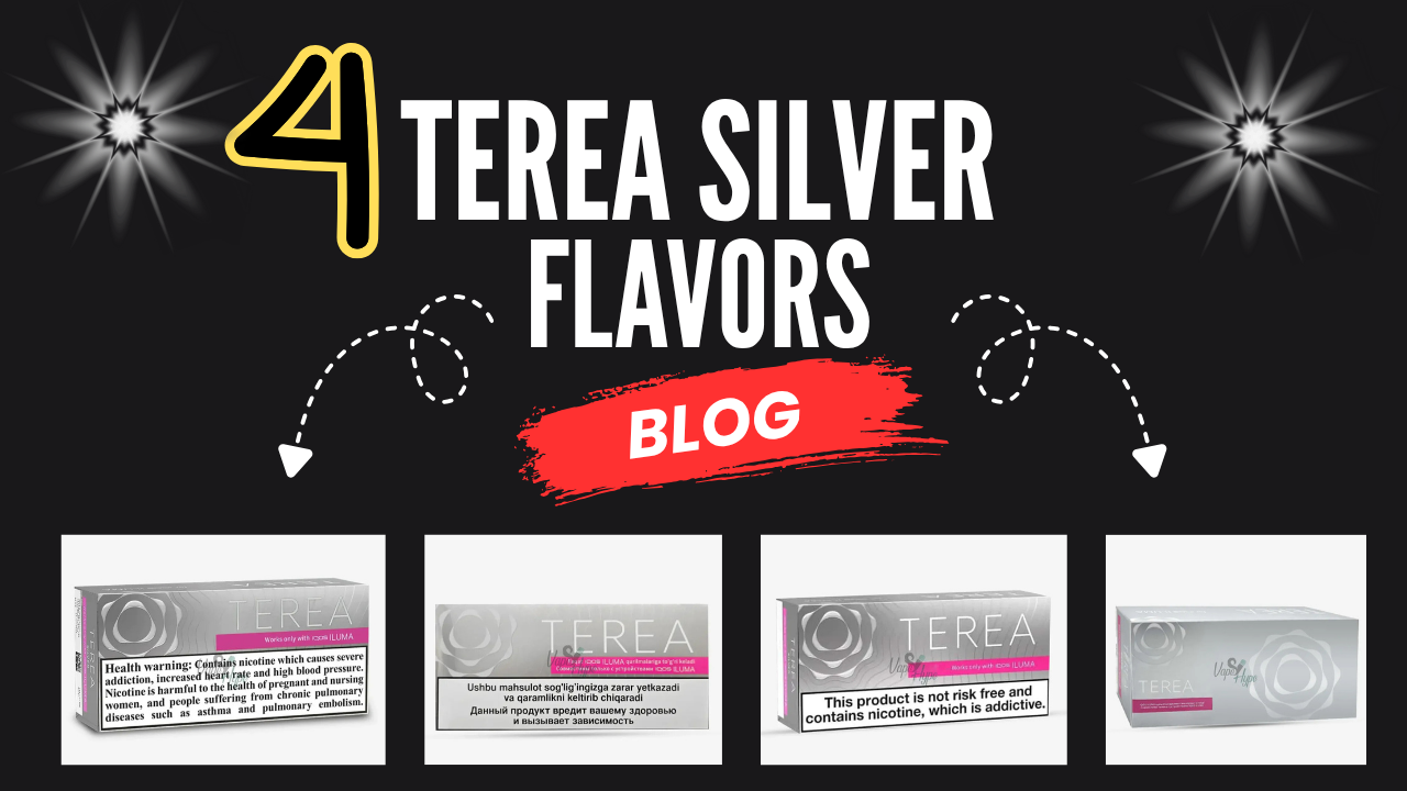 TEREA Silver Flavor: Try All 4 Types in UAE