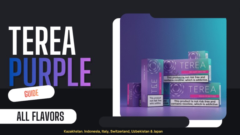 Which TEREA Purple Flavor Origin Is Right for You?