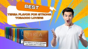 Strong Tobacco TEREA Sticks to Try in UAE