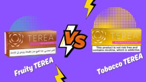 UAE TEREA Flavors: Choose Between Fruity & Tobacco