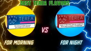 Best TEREA Flavors for Morning & Evening Use in Dubai & UAE