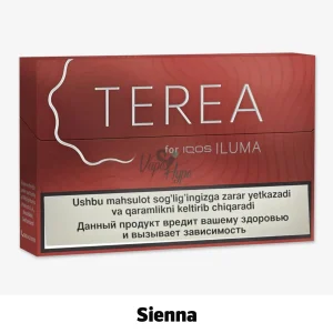 TEREA Sienna Uzbekistan tobacco sticks pack