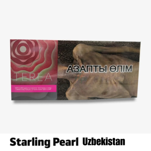 IQOS TEREA Starling Pearl Uzbekistan 10 packs block carton packaging at UAE online shop