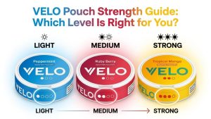 VELO Pouch Strength Guide: Which Level Is Right for You?